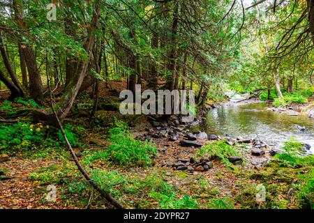 Cascate di Cordova Lago di Cordova Fiume di Crowe Havelock Peterborough County Ontario Canada in autunno Foto Stock