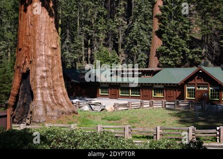 Sequoia National Park Museum – Giant Forest Museum, California, USA Foto Stock