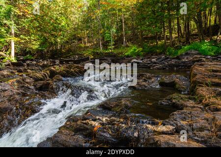 Cascate di Cordova Lago di Cordova Fiume di Crowe Havelock Peterborough County Ontario Canada in autunno Foto Stock