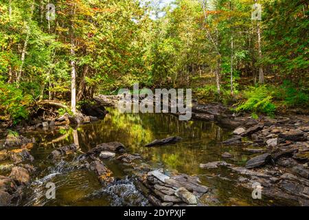 Cascate di Cordova Lago di Cordova Fiume di Crowe Havelock Peterborough County Ontario Canada in autunno Foto Stock