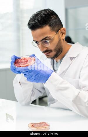 Giovane ricercatore scientifico maschile gloved in whitecoat guardando attentamente pezzo di carne vegetale cruda in piatto di petri durante lo studio le sue caratteristiche Foto Stock