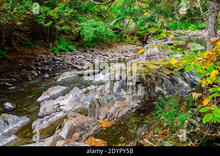 Cascate di Cordova Lago di Cordova Fiume di Crowe Havelock Peterborough County Ontario Canada in autunno Foto Stock
