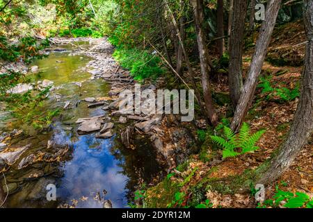 Cascate di Cordova Lago di Cordova Fiume di Crowe Havelock Peterborough County Ontario Canada in autunno Foto Stock