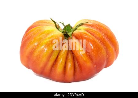 Pomodoro grande verde maturo su sfondo bianco. Cuore di bue Foto Stock