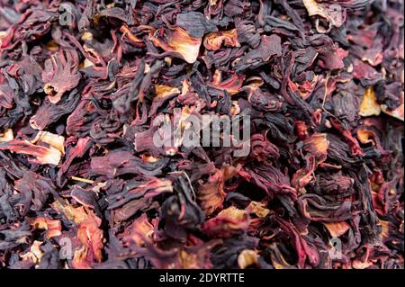 Boccioli di rosa secchi texture di fondo closeup. Hibiscus petali macro primo piano. Messa a fuoco selettiva Foto Stock