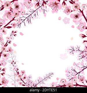 Una cornice quadrata di rami fioriti di ciliegio. Illustrazione vettoriale Illustrazione Vettoriale