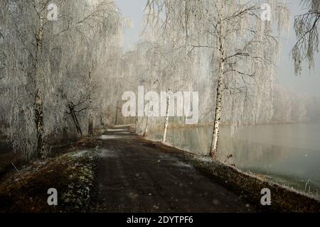 Una bella mattina invernale sui laghi all'alba Foto Stock