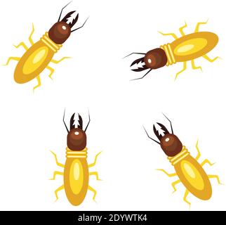 Piccoli termiti, illustrazione, vettore su sfondo bianco. Illustrazione Vettoriale