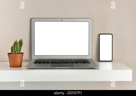 Computer portatile argento e telefono cellulare con schermo vuoto seduto sullo scaffale accanto al cactus, entrambi di fronte fotocamera con display bianchi per la copia spazio c Foto Stock