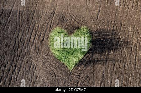 Alberi verdi che formano il cuore su campo arato agricolo Foto Stock