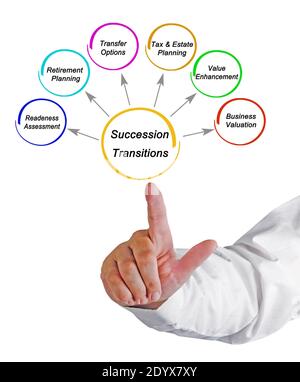 Cinque Componenti Delle Transizioni Di Successione Foto Stock
