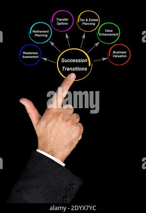 Cinque Componenti Delle Transizioni Di Successione Foto Stock