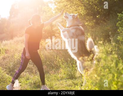 Donna che addestra il cane domestico per stare sulle gambe posteriori all'aperto Foto Stock