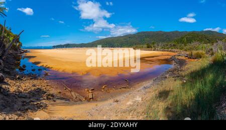 Ruscello Richardson al parco nazionale Abel Tasman in Nuova Zelanda Foto Stock