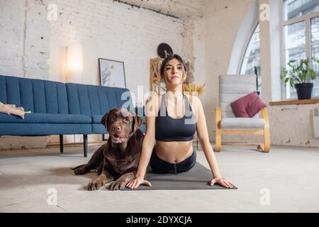 Amici. Giovane donna che lavora a casa durante il blocco, facendo esercizi di yoga con il cane. Bella donna stretching, praticante. Benessere, benessere, salute, salute mentale, concetto di stile di vita. Foto Stock