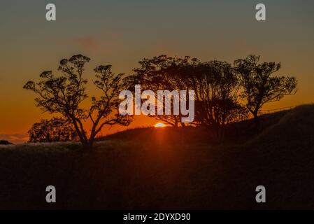 Vista all'alba del Monte Eden ad Auckland, Nuova Zelanda Foto Stock