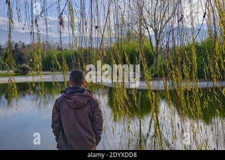 Un uomo lato posteriore guardando al piccolo lago e magnifico riflesso di piante su acqua di stagno. Foto Stock
