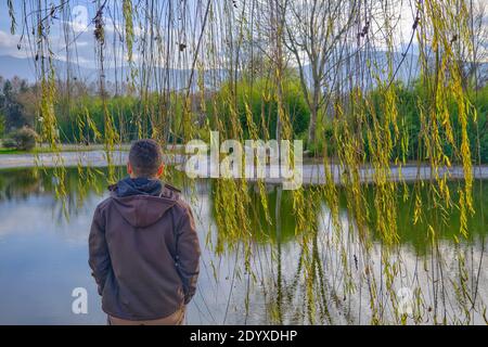 Un uomo lato posteriore guardando al piccolo lago e magnifico riflesso di piante su acqua di stagno. Foto Stock