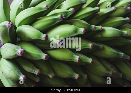 Grande mazzo di banane verdi di madeira sul gambo Foto Stock