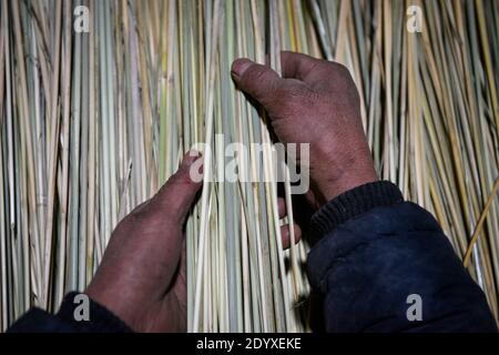 (201228) -- YINCHUAN, 28 dicembre 2020 (Xinhua) -- li Yaomei processa cannucce per la realizzazione di scopa nel villaggio di Longyuan nel distretto di Hongsibao nella città di Wuzhong, nella regione Autonoma di Ningxia Hui, 27 ottobre 2020. Xihaigu, una regione in gran parte montagnosa del Ningxia centro-meridionale, è stata un tempo inflitta dalla profonda povertà ed è stata identificata come il "più inadatto luogo di insediamento umano" dalle Nazioni Unite negli anni '70 a causa della bonifica del territorio, della siccità e di un fragile ambiente ecologico. Il 16 novembre 2020, Xyhaigu storicamente si è addio alla povertà assoluta, durante la quale 'potere' ha giocato un indispensabile Foto Stock