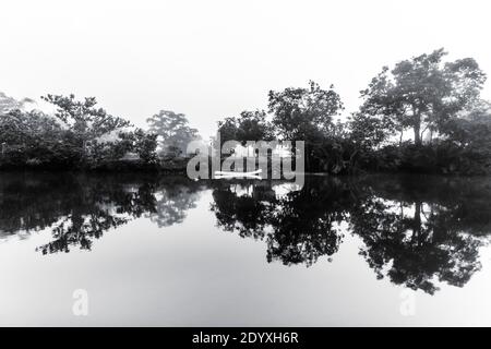 Alberi che si riflettono in un fiume in Cambogia Foto Stock