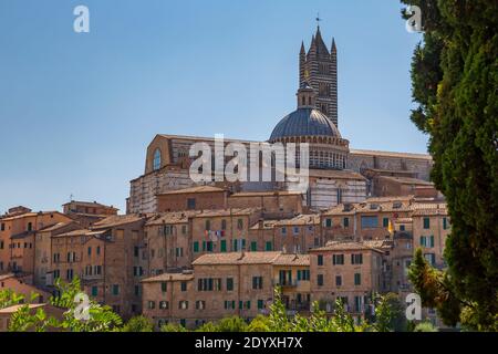 Vista dello skyline della città, tra cui Duomo, Cattedrale, Siena, Toscana, Italia, Europa Foto Stock