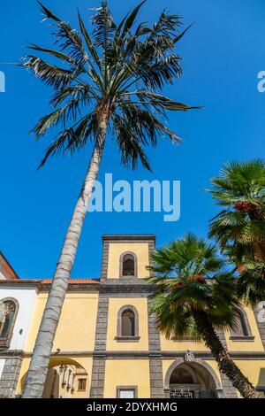 Veduta della Basilica di Sant'Antonio Abate in Piazza Sant'Antonino, Sorrento, Campania, Italia, Europa Foto Stock