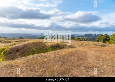 Ruapekapeka pa - rovine di una fortezza maori in New Zelanda Foto Stock