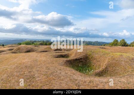 Ruapekapeka pa - rovine di una fortezza maori in New Zelanda Foto Stock