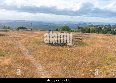 Ruapekapeka pa - rovine di una fortezza maori in New Zelanda Foto Stock