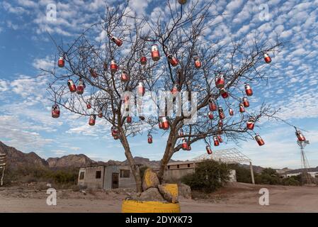 Albero decorato con lattine di birra per Natale. Foto Stock