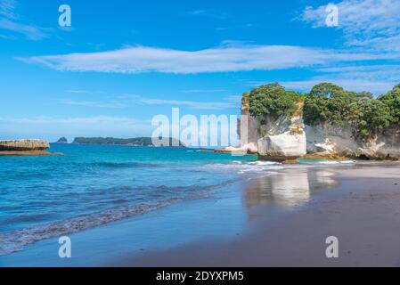 Spiaggia presso la baia della cattedrale nella penisola di Coromandel in Nuova Zelanda Foto Stock