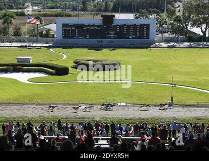 San Pietroburgo, Stati Uniti. 27 Dicembre 2020. I levrieri si avvicinano al traguardo durante il programma finale di corse di cani a Derby Lane, la più vecchia pista di levrieri in funzione continua negli Stati Uniti. Nel 2018, gli elettori della Florida hanno approvato un emendamento costituzionale che vietava le scommesse sui levrieri al 31 dicembre 2020. La gara finale dello stato si terrà al Palm Beach Kennel Club la vigilia di Capodanno. Credit: SOPA Images Limited/Alamy Live News Foto Stock