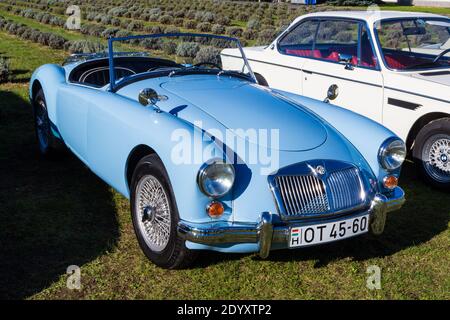 AUTO d'epoca MG 1600, prodotta 1959-1960, esposta al salone automobilistico di Sopron, Ungheria Foto Stock