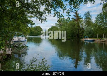 Il Tamigi a Shepperton, Surrey, Regno Unito Foto Stock