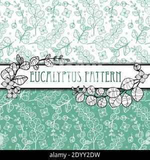 Delineare un elegante motivo senza cuciture in eucalipto Illustrazione Vettoriale