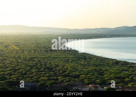 Spiaggia di sabbia e pineta sulla costa toscana a sud di Castiglione della Pescaia all'alba, Maremma, Italia Foto Stock