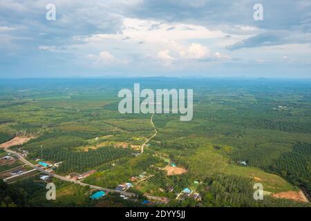 Valle con piantagioni di palme da olio e alberi di gomma brasiliani. Vista dalla cima del Tempio della Grotta della Tigre in Thailandia Foto Stock