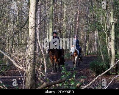 Trent Park Country House & Park, Cockfosters, Regno Unito. Legno e Parkland, passeggiate nella natura, equitazione, caffè, flora e fauna. Terreni agricoli AN Foto Stock