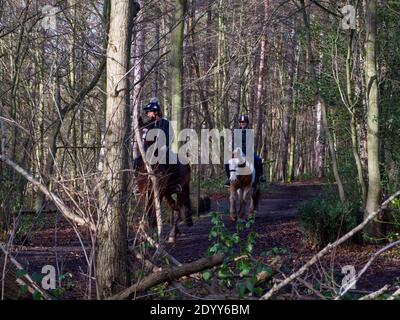 Trent Park Country House & Park, Cockfosters, Regno Unito. Legno e Parkland, passeggiate nella natura, equitazione, caffè, flora e fauna. Terreni agricoli AN Foto Stock