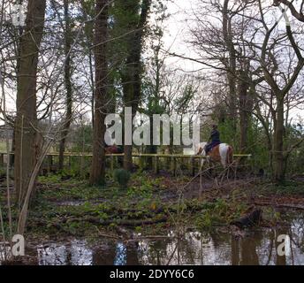 Trent Park Country House & Park, Cockfosters, Regno Unito. Legno e Parkland, passeggiate nella natura, equitazione, caffè, flora e fauna. Terreni agricoli AN Foto Stock