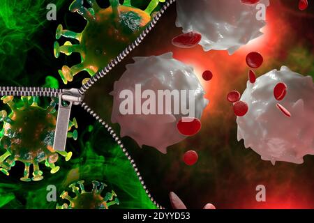 Zipper rivela i globuli bianchi sani pronti a combattere L'epidemia di coronavirus come simbolo per l'illustrazione 3D del sistema immunitario Foto Stock