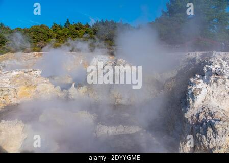 Piscine termali presso la riserva geotermica Hell's Gate in Nuova Zelanda Foto Stock