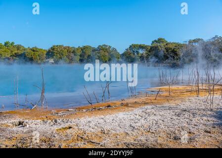 Stagno geotermico al parco di Kuirau a Rotorua, Nuova Zelanda Foto Stock