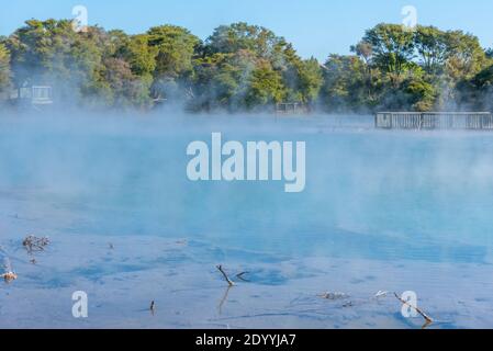 Stagno geotermico al parco di Kuirau a Rotorua, Nuova Zelanda Foto Stock