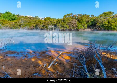 Stagno geotermico al parco di Kuirau a Rotorua, Nuova Zelanda Foto Stock