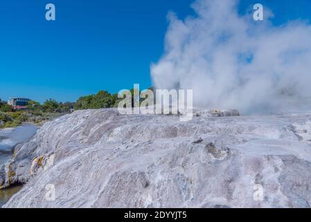 Geyser Pohutu al villaggio te puia vicino a Rotorua, Nuova Zelanda Foto Stock