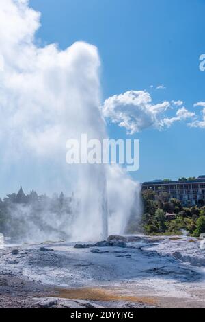 Geyser Pohutu al villaggio te puia vicino a Rotorua, Nuova Zelanda Foto Stock