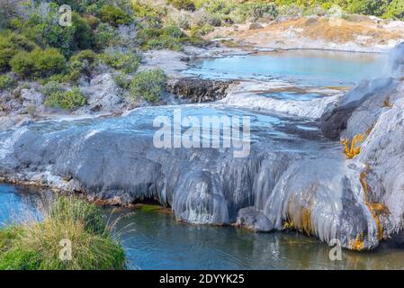 Terrazze di silicio al villaggio te puia vicino a Rotorua, Nuova Zelanda Foto Stock