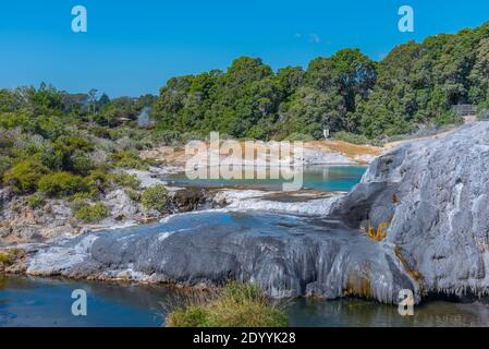 Terrazze di silicio al villaggio te puia vicino a Rotorua, Nuova Zelanda Foto Stock